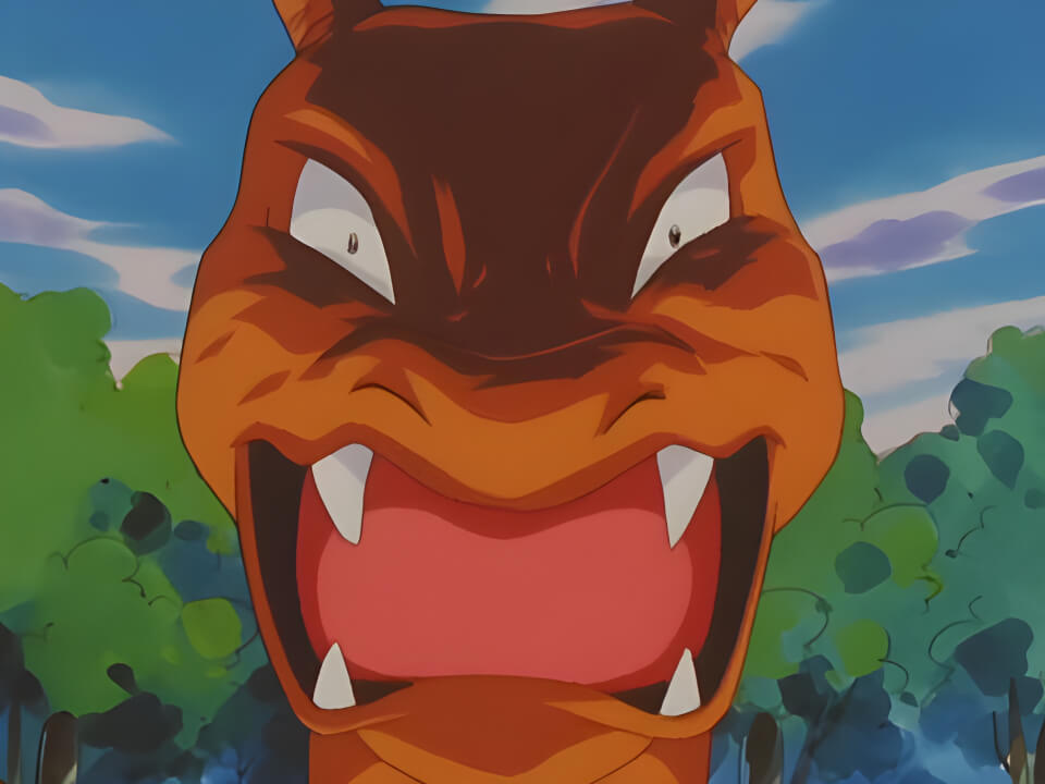 Charizard Scary Face VPokedex