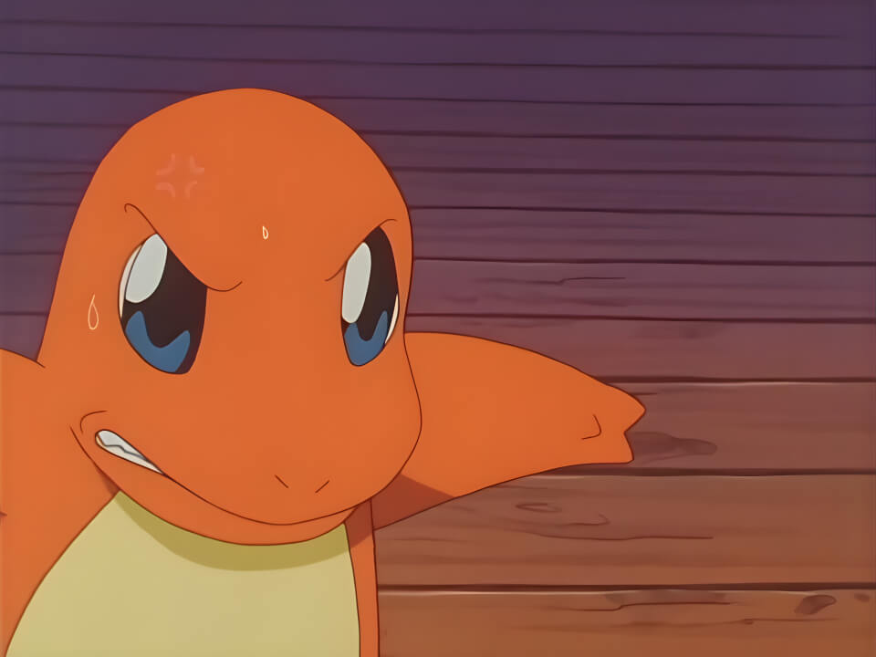 Charmander Leer VPokedex
