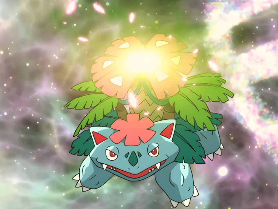 Mega Venusaur Petal Dance VPokedex