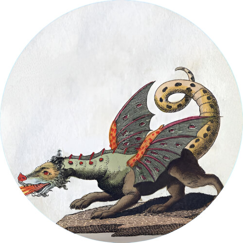 Charizard European dragon design