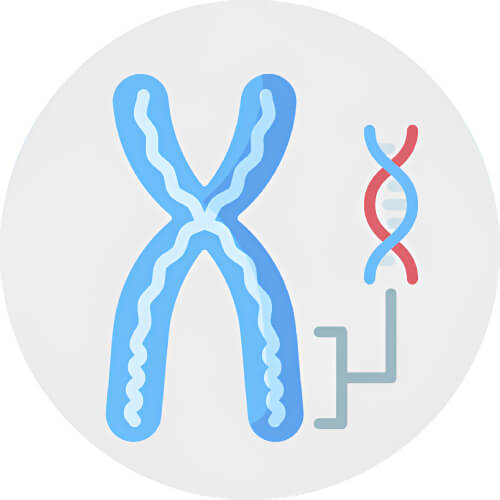 Deoxys Chromosome design