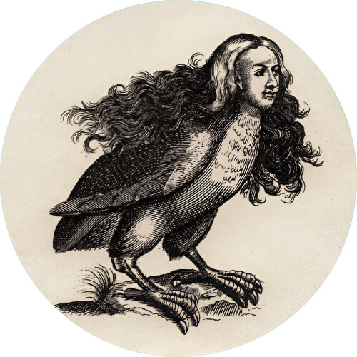 Fearow Harpy design