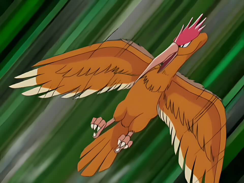 Fearow Whirlwind VPokedex