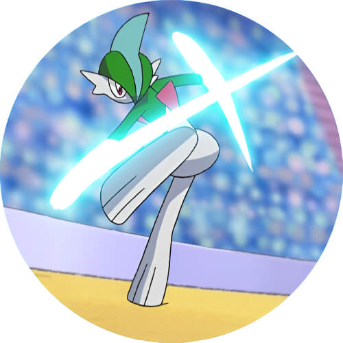 Gallade Fencing design
