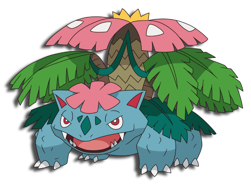 Mega Venusaur anime VPokedex