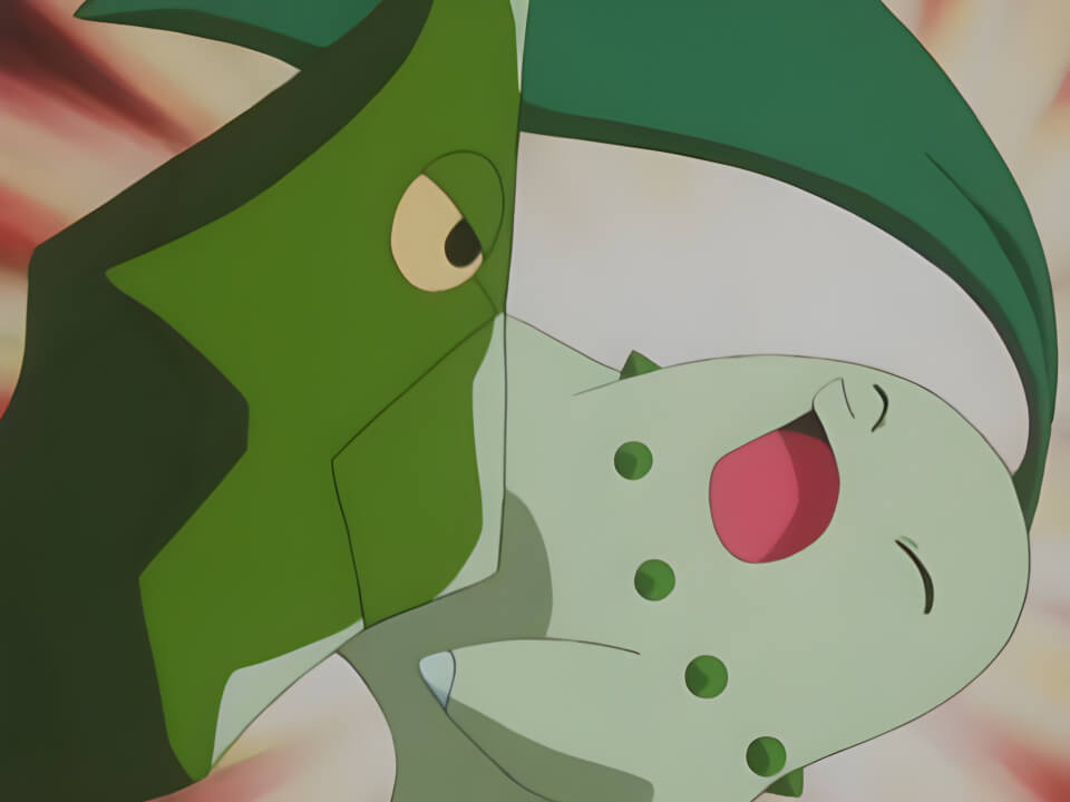 Metapod Tackle VPokedex