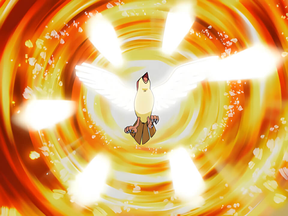 Pidgeot Feather Dance VPokedex