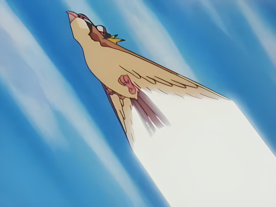 Pidgeot Quick Attack VPokedex