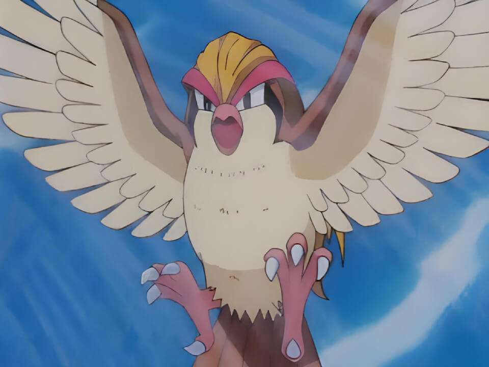 Pidgeot Whirlwind VPokedex