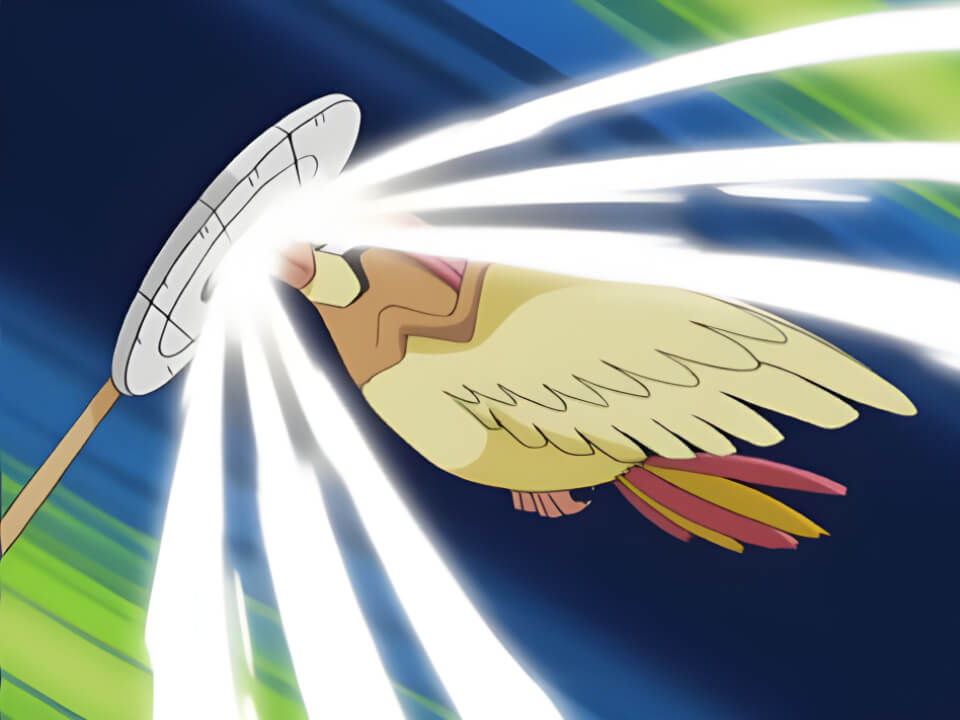 Pidgeotto Aerial Ace VPokedex