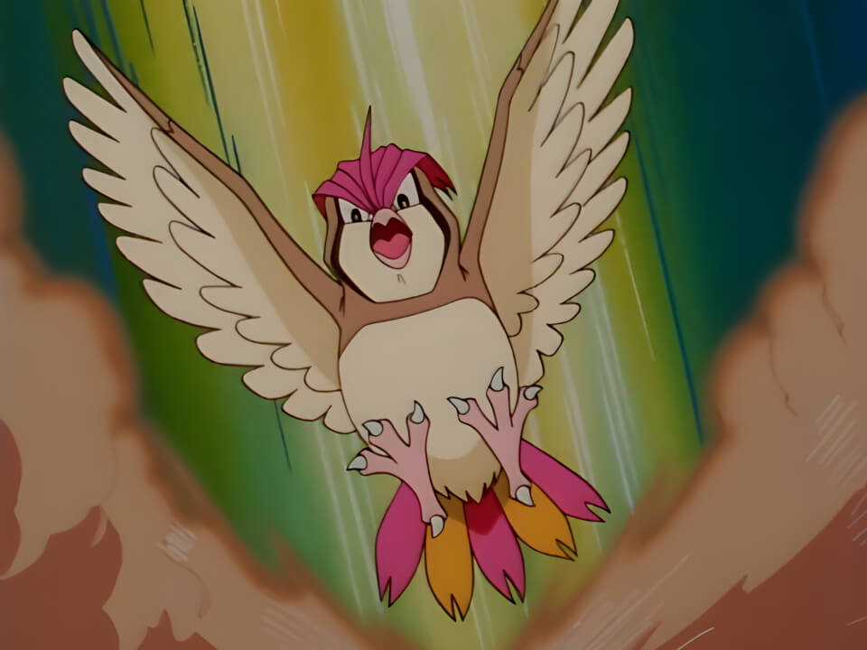 Pidgeotto Sand Attack VPokedex