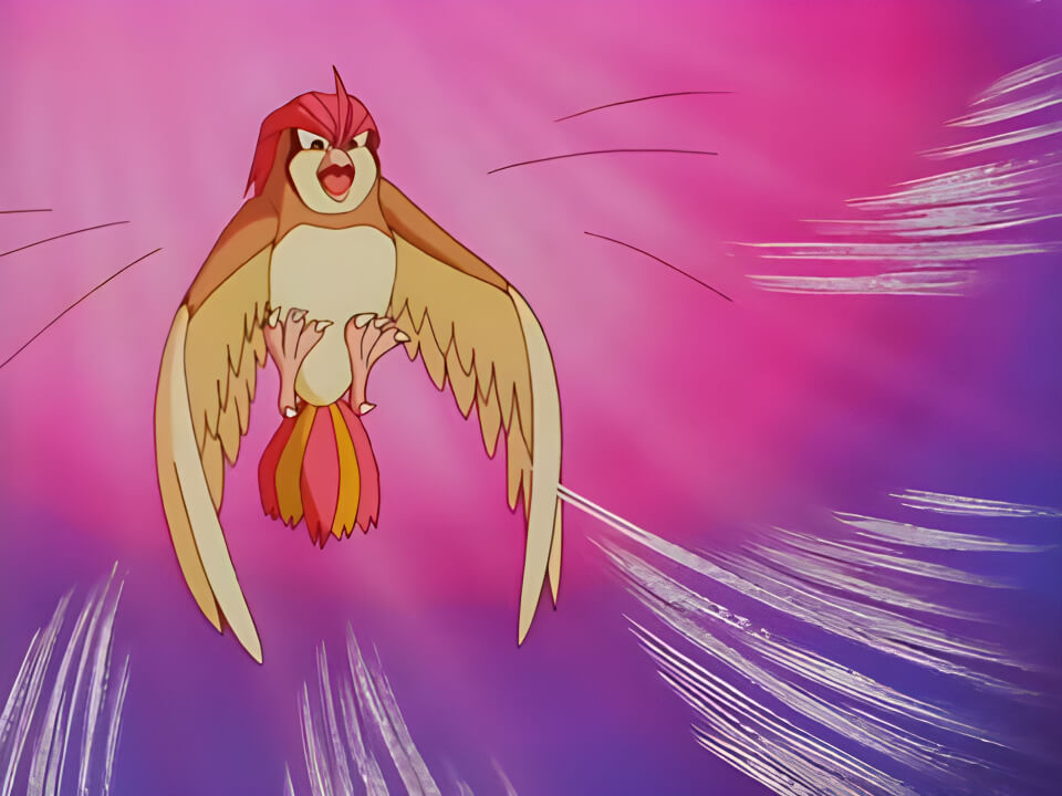 Pidgeotto Whirlwind VPokedex