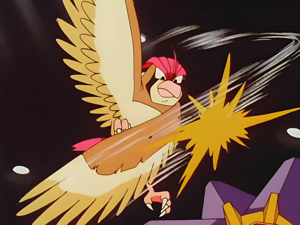 Pidgeotto Wing Attack VPokedex