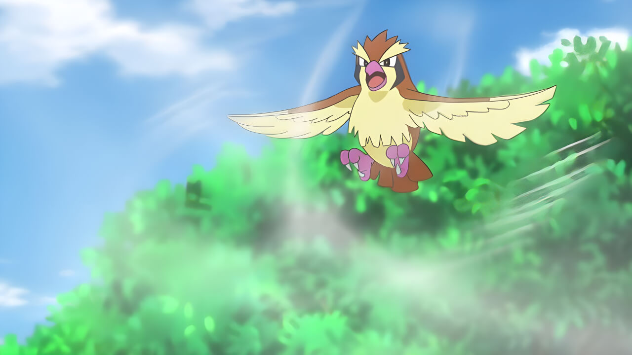 Pidgey Gust VPokedex