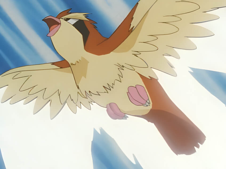 Pidgey Quick Attack VPokedex