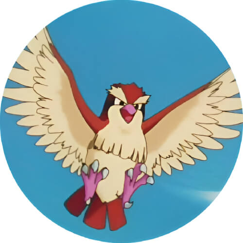 Pidgey in anime