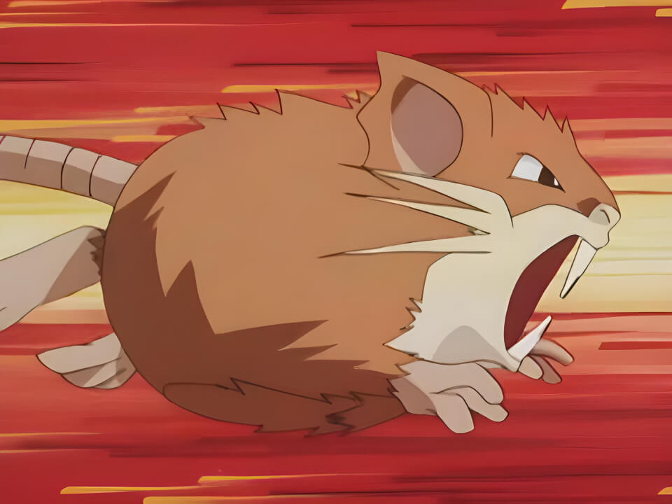 Raticate Quick Attack VPokedex