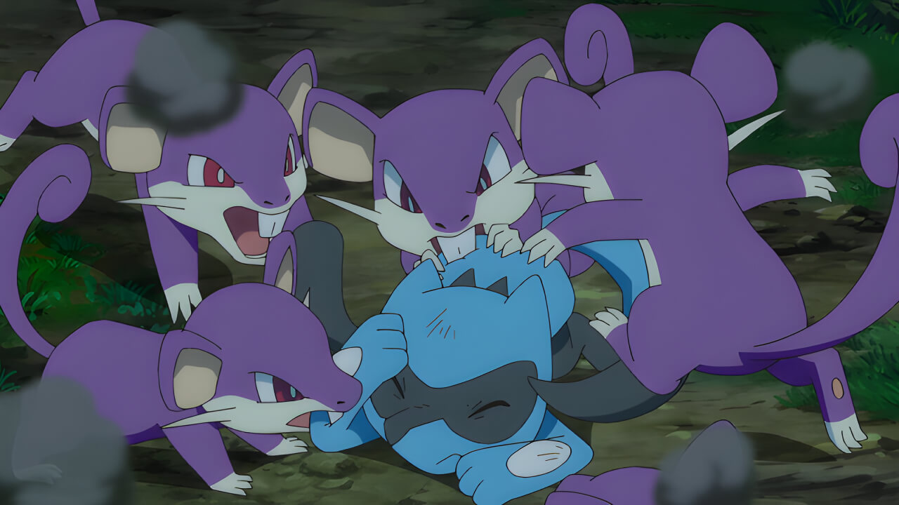 Rattata Bite VPokedex