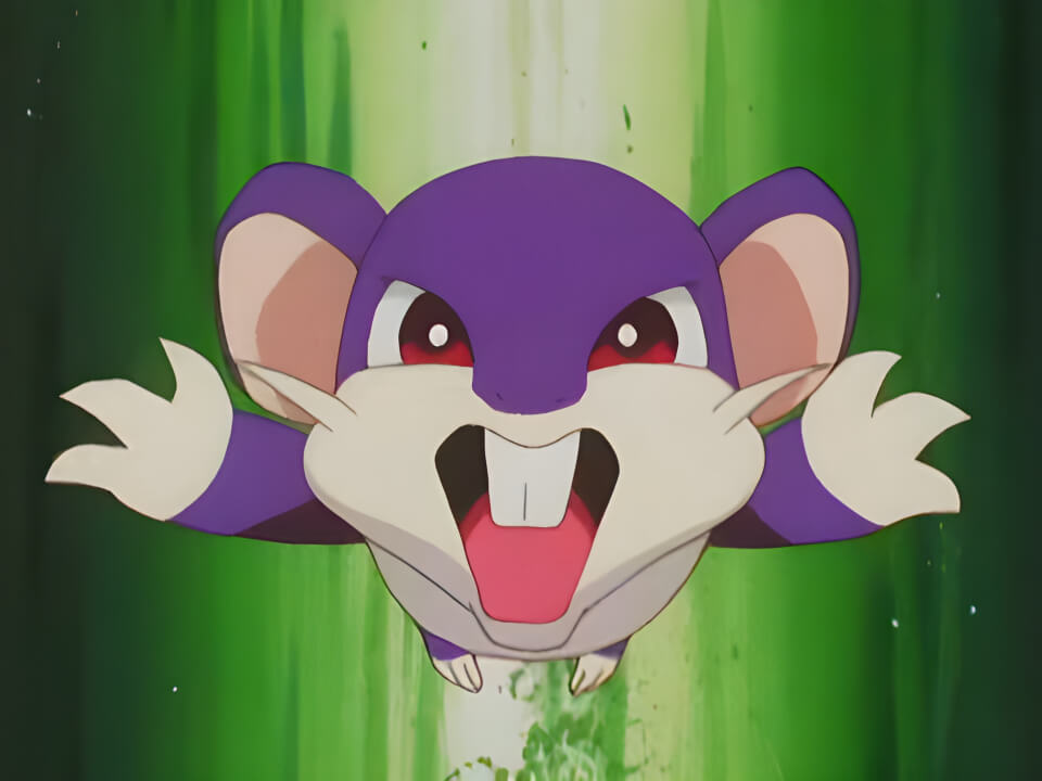 Rattata Tackle VPokedex