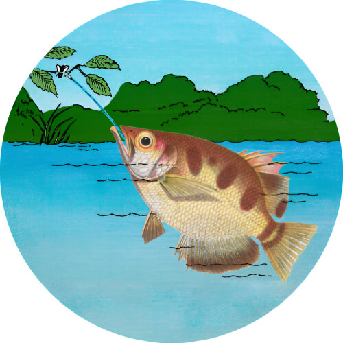 Remoraid Archerfish design