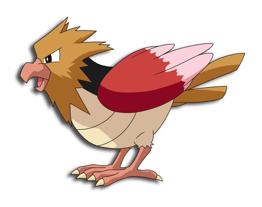 Spearow anime VPokedex