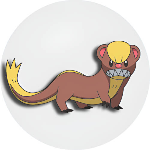 Yungoos and Alolan Rattata