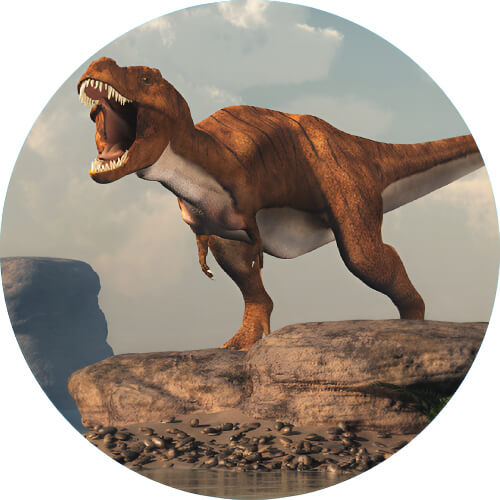 Charmander Theropoda design