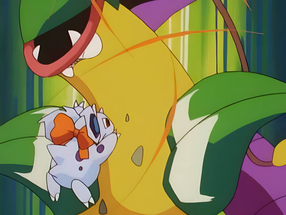 Nidoran♀ Fury Swipes VPokedex