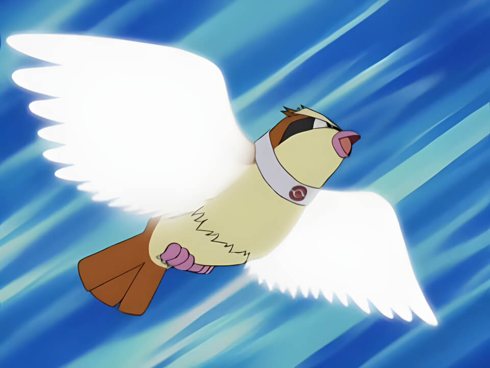 Pidgey Wing Attack VPokedex