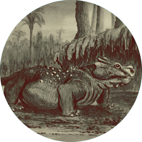 Venusaur Pareiasaur design