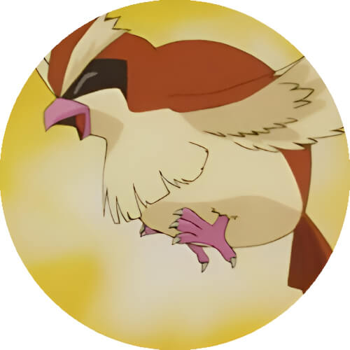 Pudgy Pidgey