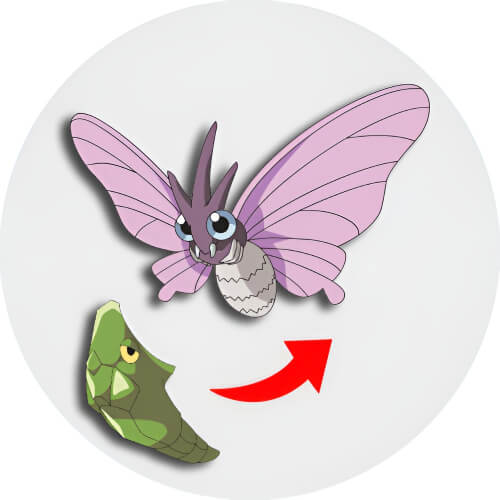 Venomoth and Metapod